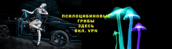 соль ск Алексеевка