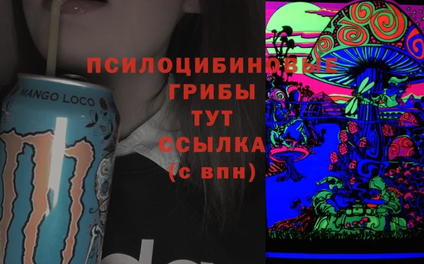 метадон Алексин