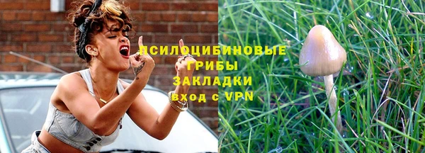 соль ск Алексеевка