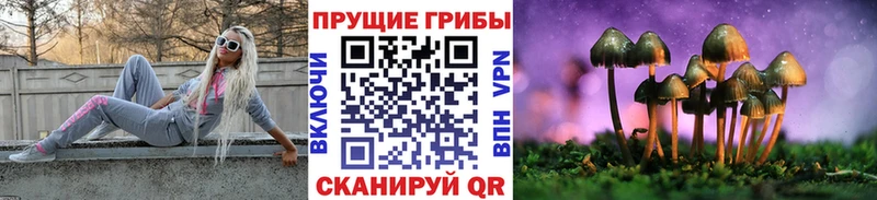 darknet клад  Йошкар-Ола  Галлюциногенные грибы MAGIC MUSHROOMS 