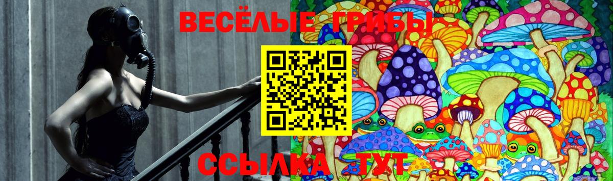 Йошкар-Ола  Галлюциногенные грибы ЛСД  Вход с VPN  Галлюциногенные грибы ЛСД 